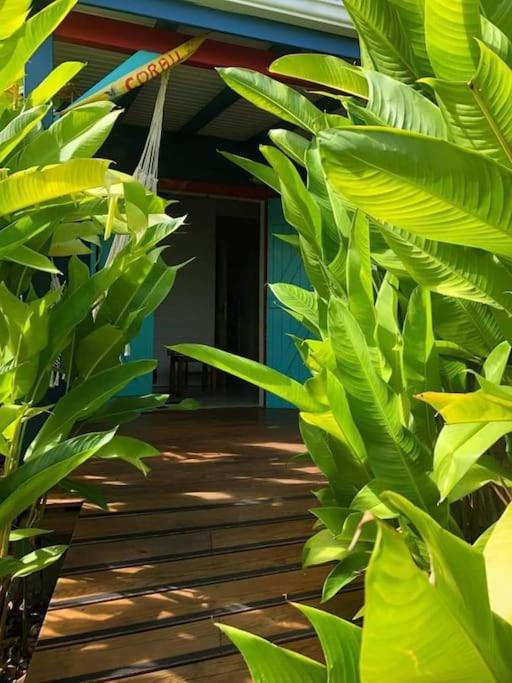 Secteur Prise, Bungalow Corail, Residence Casa Boubou Сен-Ан Екстериор снимка