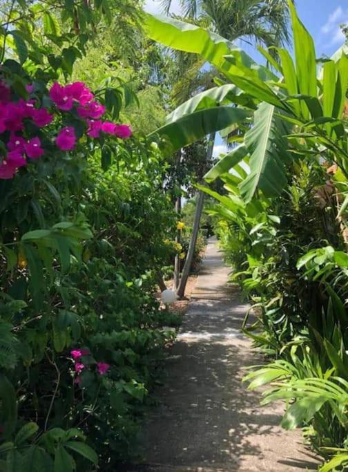 Secteur Prise, Bungalow Corail, Residence Casa Boubou Сен-Ан Екстериор снимка