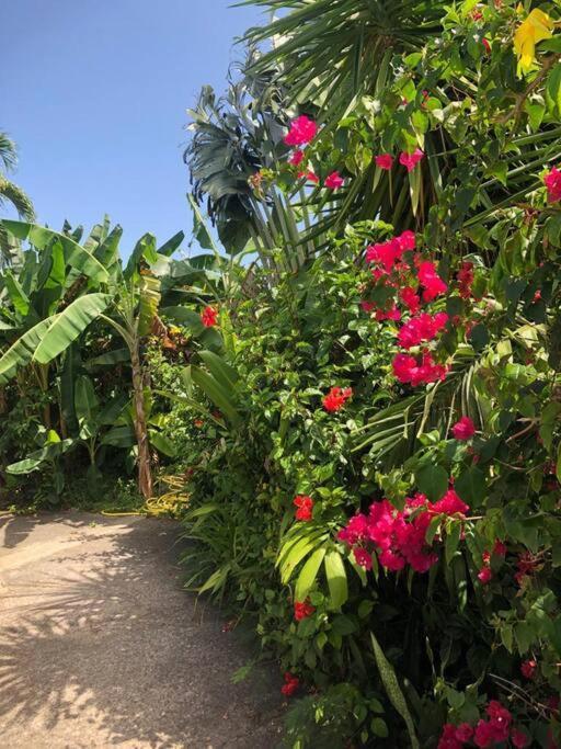 Secteur Prise, Bungalow Corail, Residence Casa Boubou Сен-Ан Екстериор снимка
